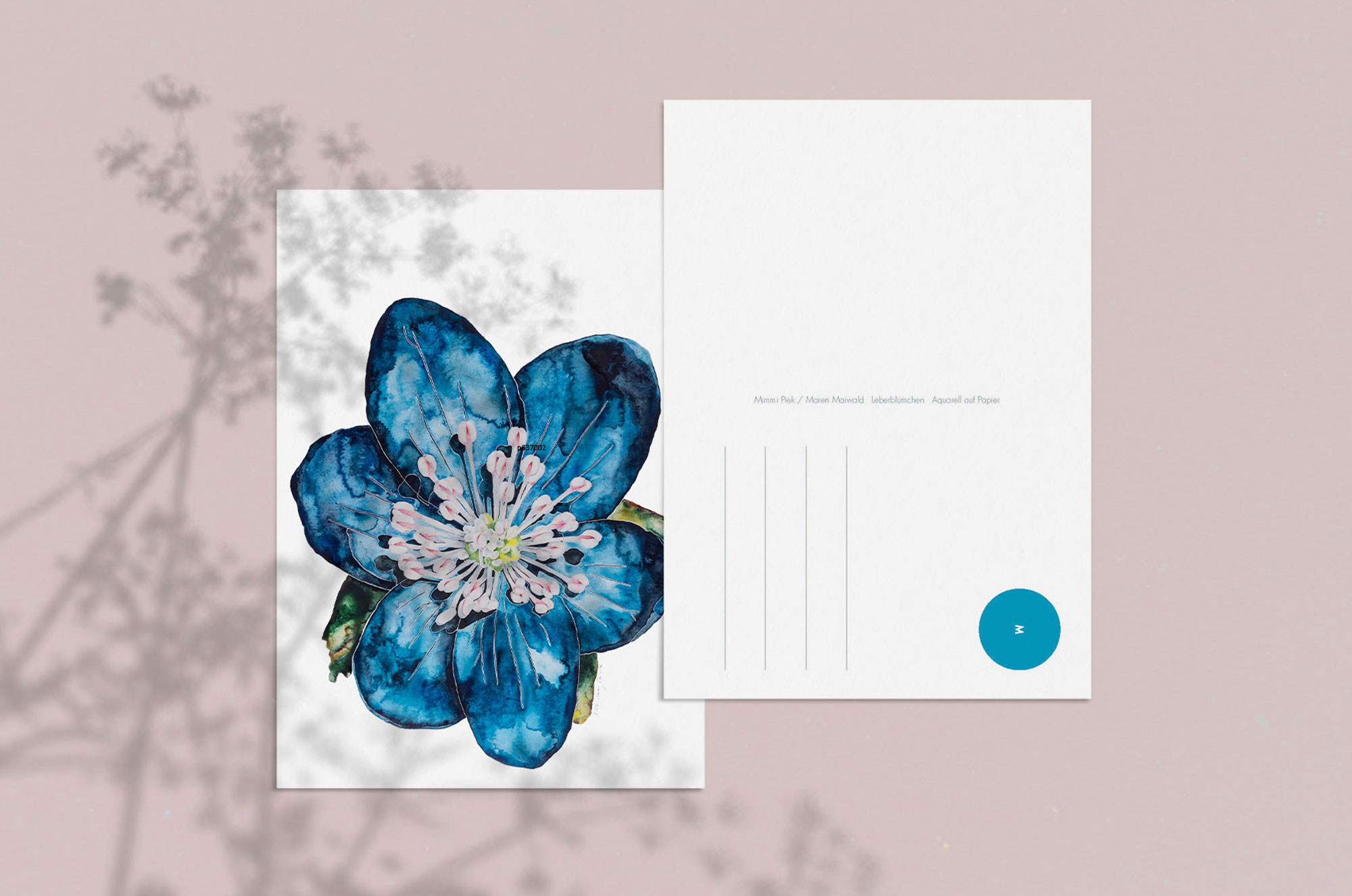 Blumen-Postkarte - Leberblümchen