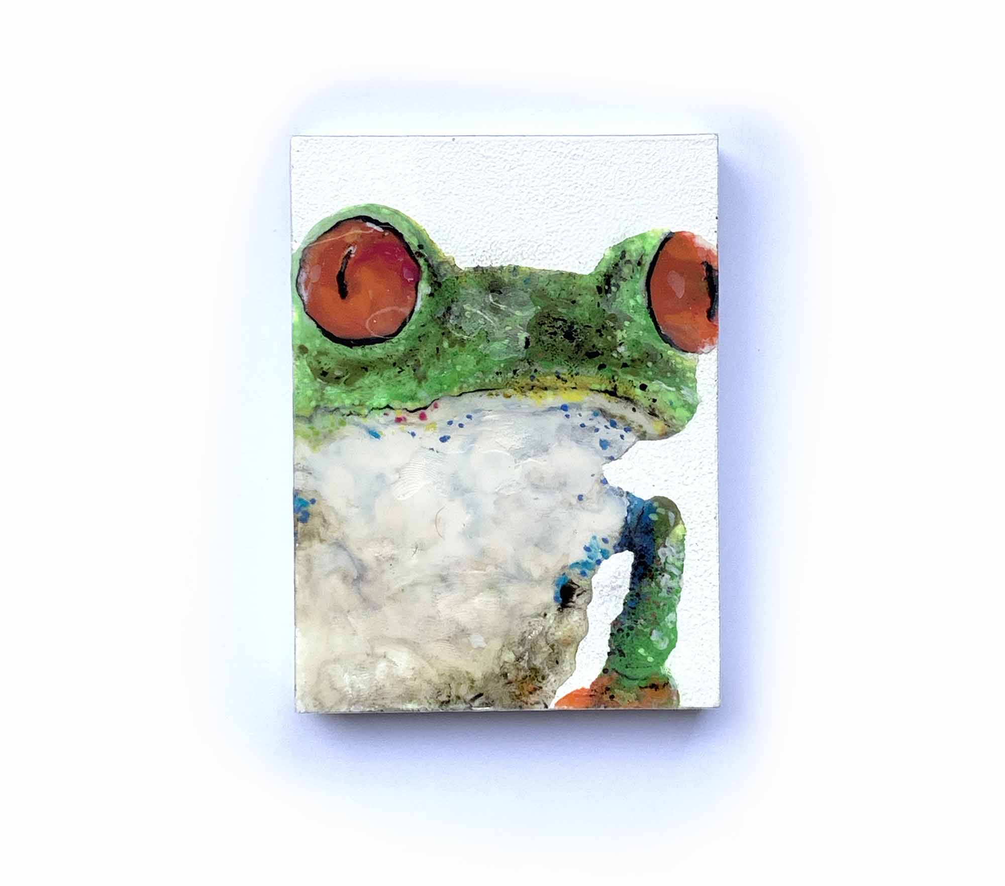 Objekt - Serie Quetschobjekte - Quetschfrösche - Rotaugenlaubfrosch - 7,5 x 10,2 x 1,8 cm