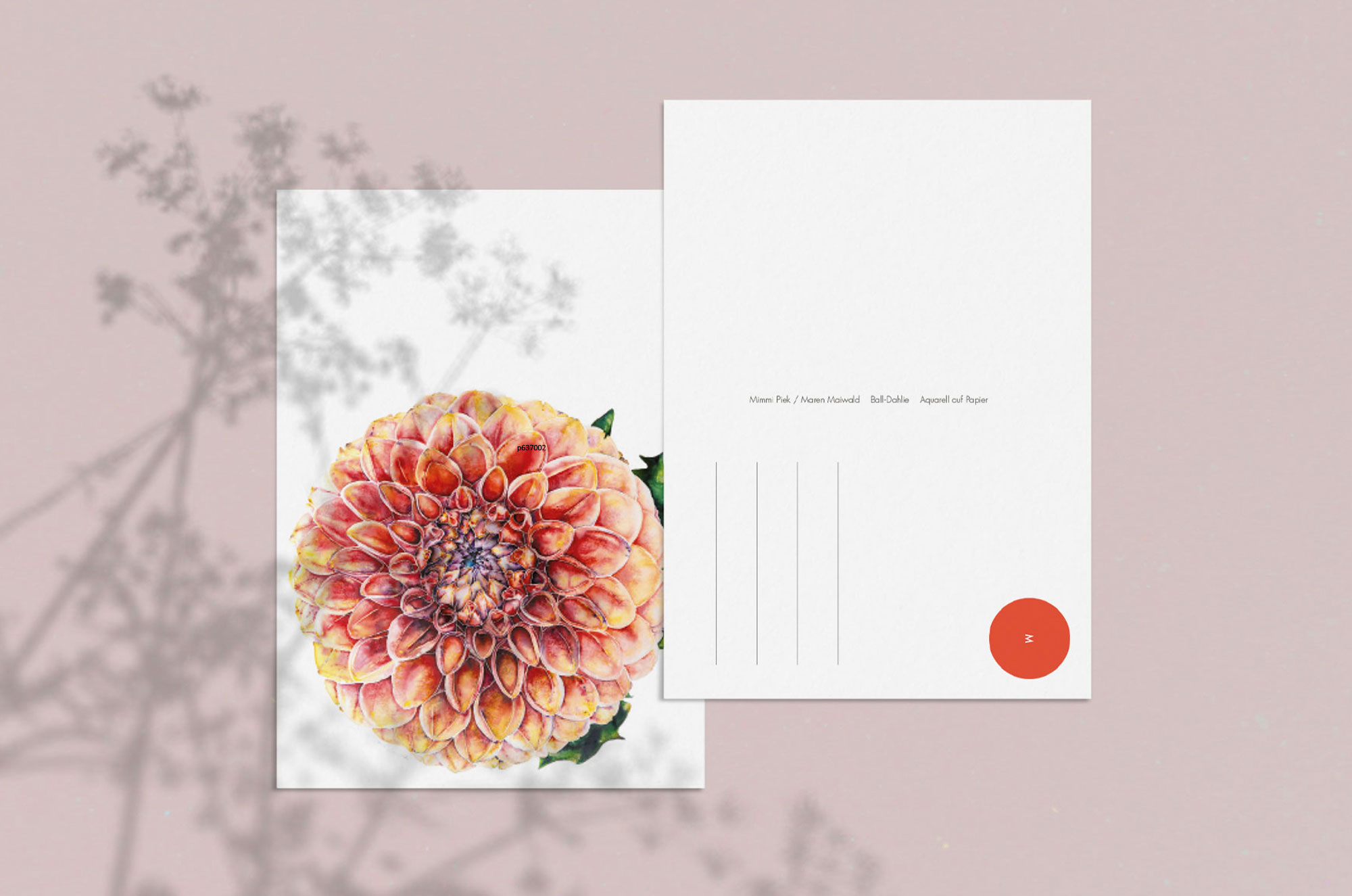 Blumen-Postkarte - Ball-Dahlie