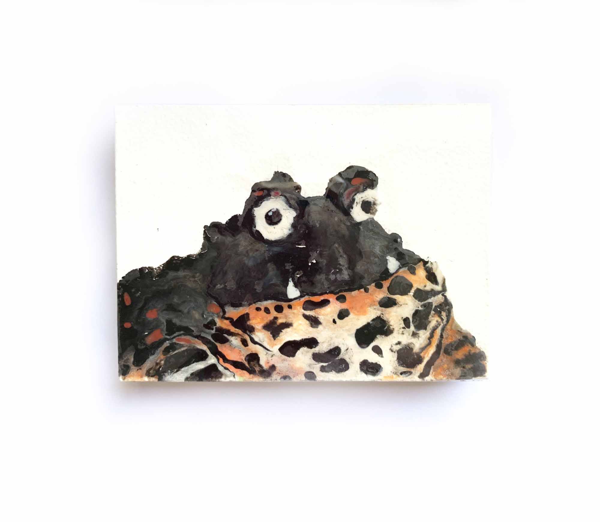 Objekt - Serie Quetschobjekte - Quetschfrösche - Kröte mit Hauern - 7,5 x 10,2 x 1,8 cm