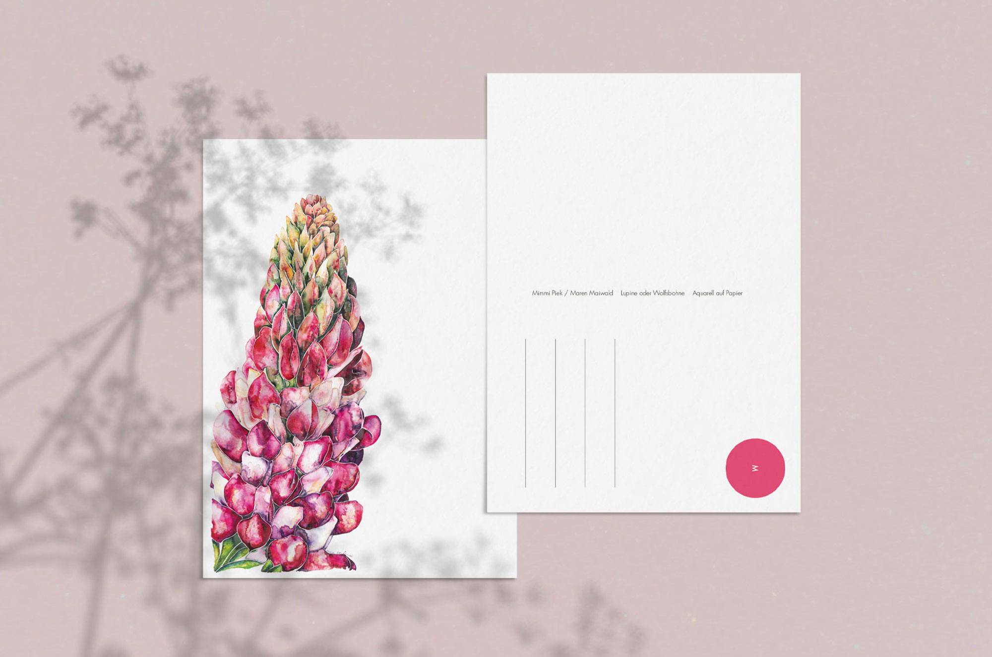 Blumen-Postkarte - Lupine oder Wolfsbohne
