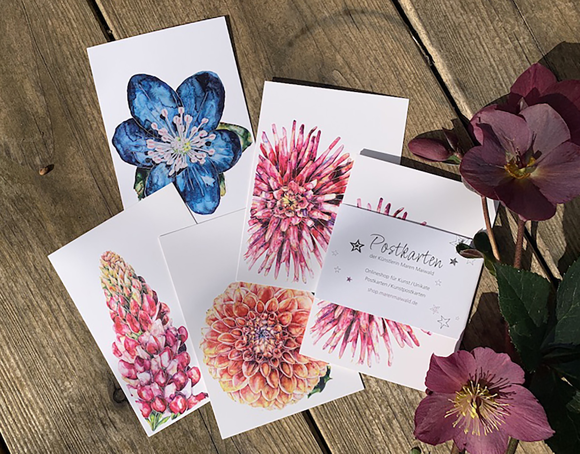 Blumen-Postkarten-Kollektion - Lupine, Ball-Dahlie, Kaktus-Dahlie, Leberblümchen